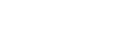 Witnessing History Education Foundation